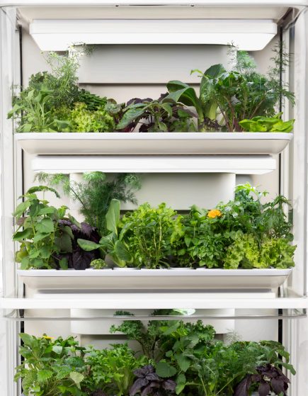 Le jardin potager vertical (intérieur ou extérieur), une invention aux  nombreux avantages - NeozOne