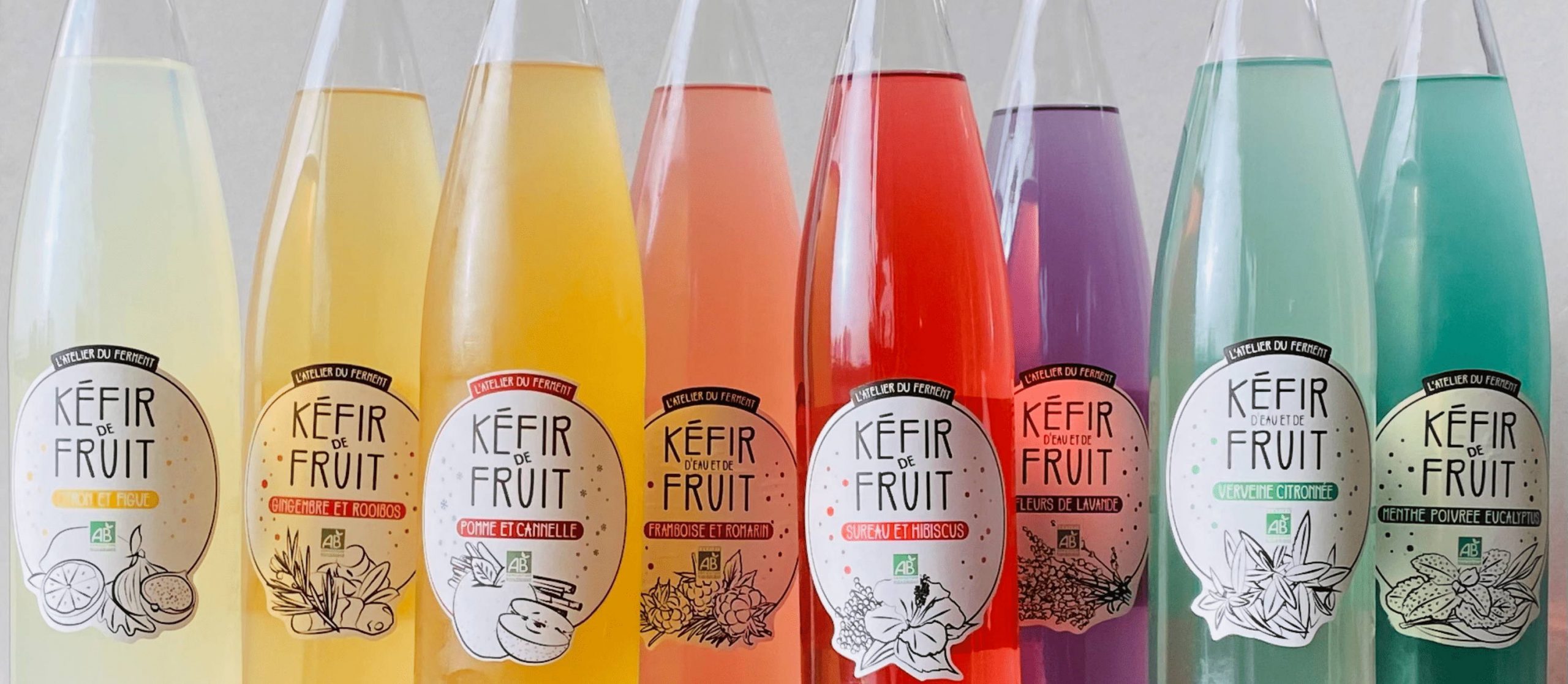 Un kéfir de fruit traditionnel, artisanal et français - La veille des  innovations alimentaires