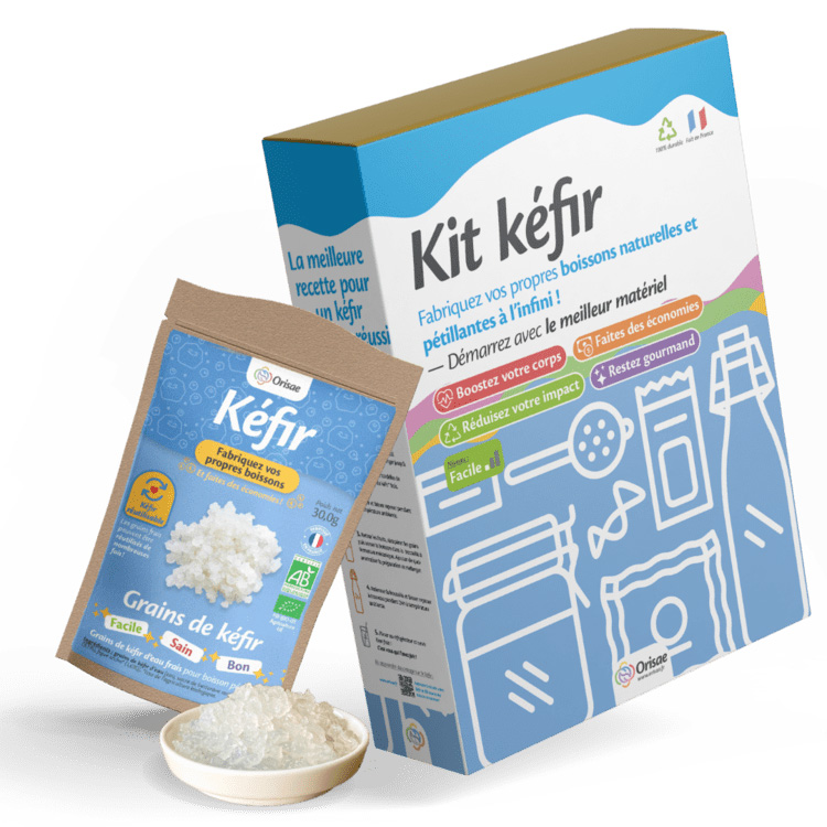 Un kit pour faire son kéfir soi-même - La veille des innovations  alimentaires